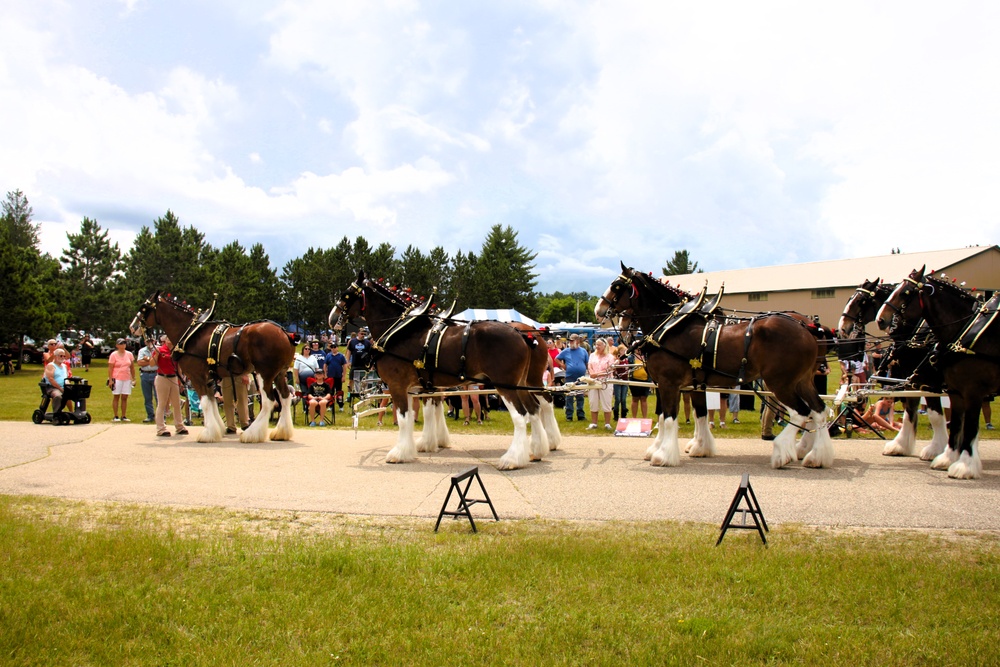 Hundreds attend Clydesdales visit to Fort McCoy; parade held at Pine View Campground