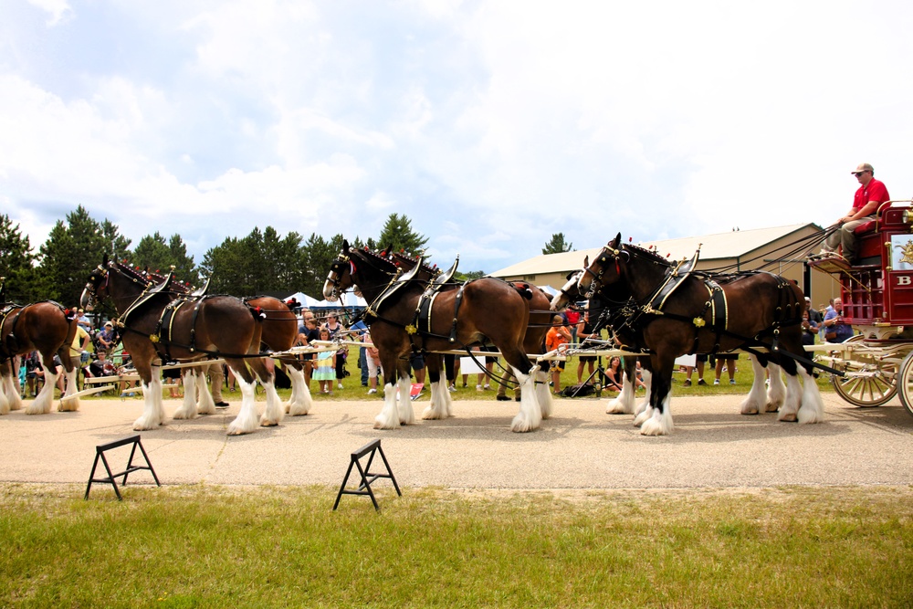 Hundreds attend Clydesdales visit to Fort McCoy; parade held at Pine View Campground