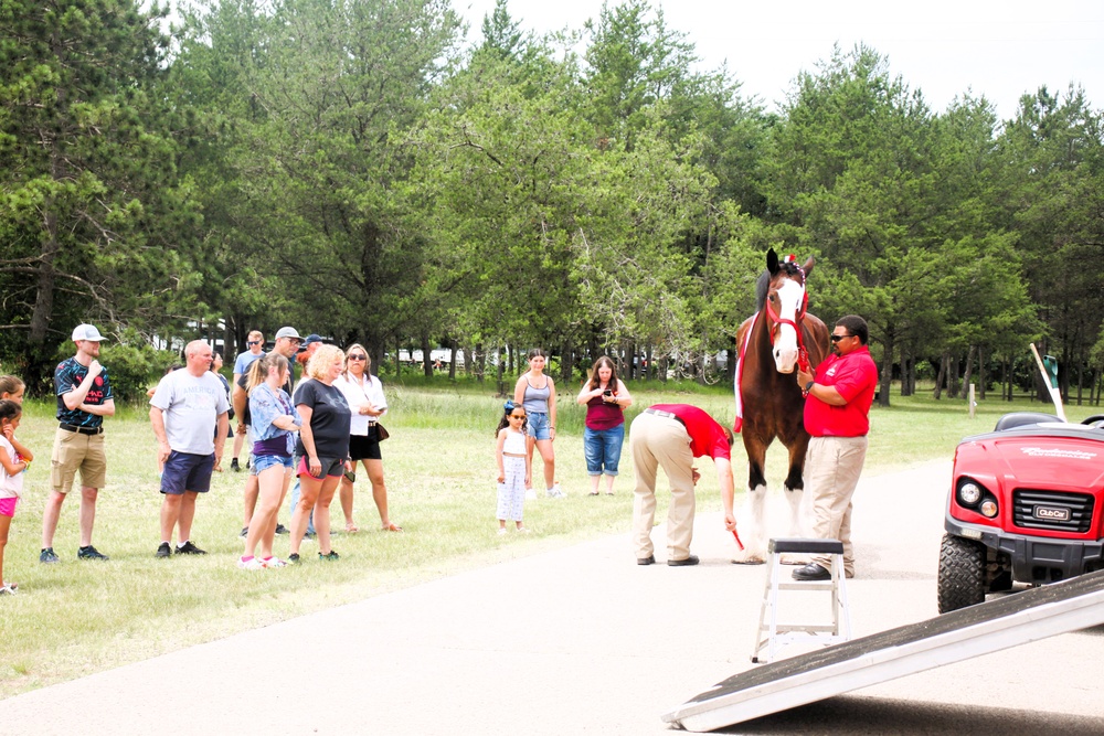 Hundreds attend Clydesdales visit to Fort McCoy; parade held at Pine View Campground