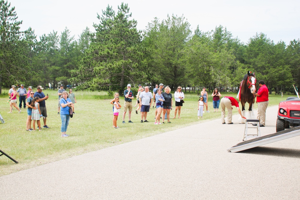 Hundreds attend Clydesdales visit to Fort McCoy; parade held at Pine View Campground