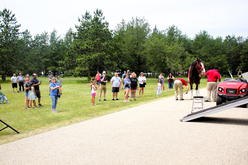 Hundreds attend Clydesdales visit to Fort McCoy; parade held at Pine View Campground