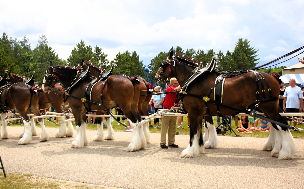 Hundreds attend Clydesdales visit to Fort McCoy; parade held at Pine View Campground