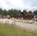 Hundreds attend Clydesdales visit to Fort McCoy; parade held at Pine View Campground