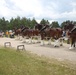 Hundreds attend Clydesdales visit to Fort McCoy; parade held at Pine View Campground