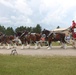 Hundreds attend Clydesdales visit to Fort McCoy; parade held at Pine View Campground