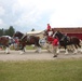 Hundreds attend Clydesdales visit to Fort McCoy; parade held at Pine View Campground