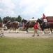 Hundreds attend Clydesdales visit to Fort McCoy; parade held at Pine View Campground