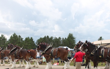 Photo Story: Hundreds attend Clydesdales visit to Fort McCoy, Part 2