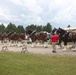 Hundreds attend Clydesdales visit to Fort McCoy; parade held at Pine View Campground
