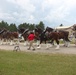 Hundreds attend Clydesdales visit to Fort McCoy; parade held at Pine View Campground
