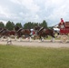 Hundreds attend Clydesdales visit to Fort McCoy; parade held at Pine View Campground
