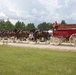 Hundreds attend Clydesdales visit to Fort McCoy; parade held at Pine View Campground
