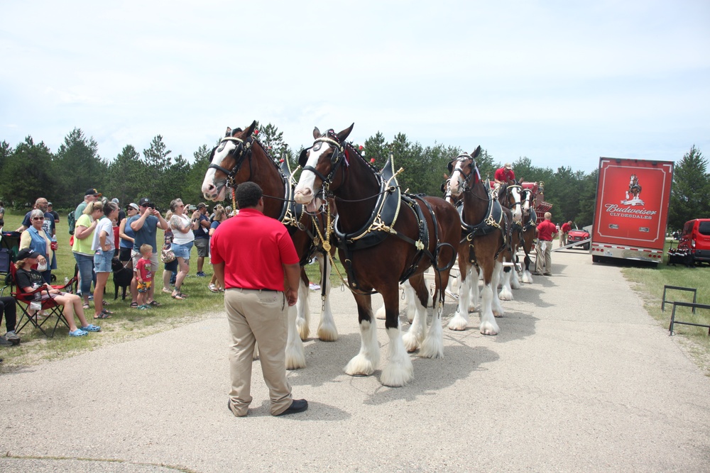 Hundreds attend Clydesdales visit to Fort McCoy; parade held at Pine View Campground