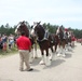 Hundreds attend Clydesdales visit to Fort McCoy; parade held at Pine View Campground