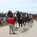 Hundreds attend Clydesdales visit to Fort McCoy; parade held at Pine View Campground