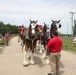 Hundreds attend Clydesdales visit to Fort McCoy; parade held at Pine View Campground