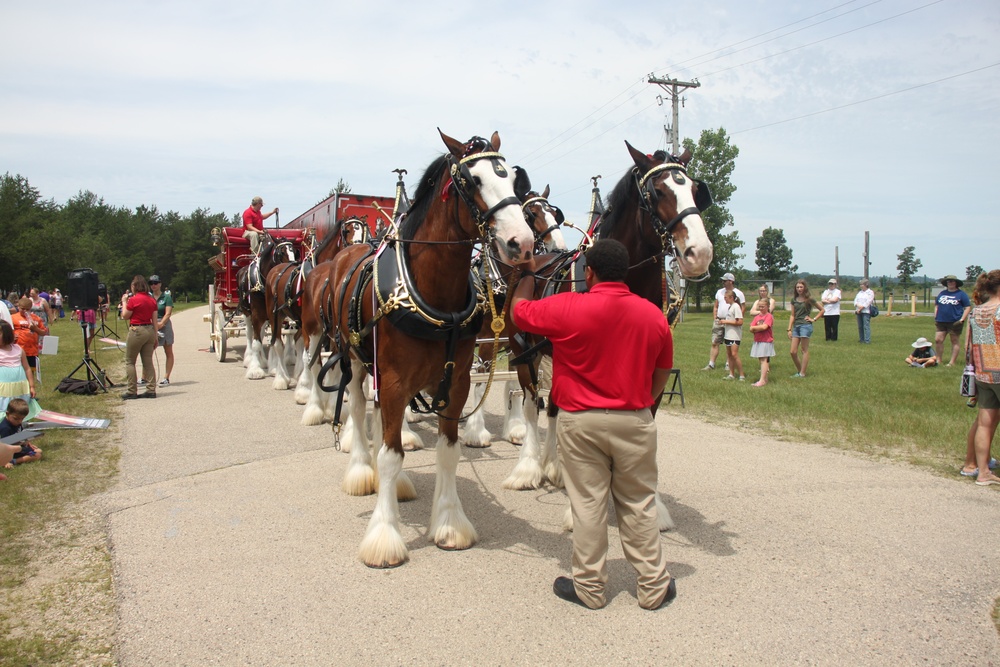 Hundreds attend Clydesdales visit to Fort McCoy; parade held at Pine View Campground