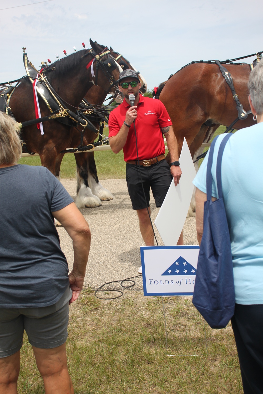 Hundreds attend Clydesdales visit to Fort McCoy; parade held at Pine View Campground