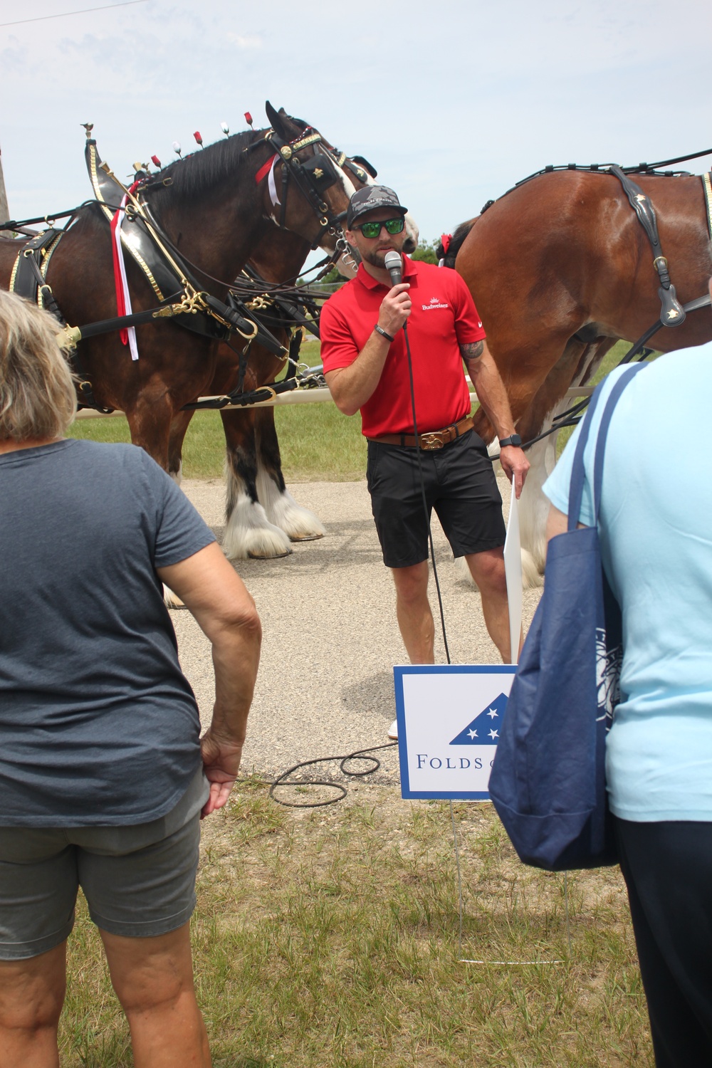 Hundreds attend Clydesdales visit to Fort McCoy; parade held at Pine View Campground