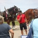 Hundreds attend Clydesdales visit to Fort McCoy; parade held at Pine View Campground