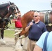 Hundreds attend Clydesdales visit to Fort McCoy; parade held at Pine View Campground