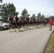 Hundreds attend Clydesdales visit to Fort McCoy; parade held at Pine View Campground