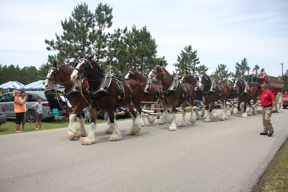 Hundreds attend Clydesdales visit to Fort McCoy; parade held at Pine View Campground