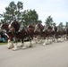 Hundreds attend Clydesdales visit to Fort McCoy; parade held at Pine View Campground