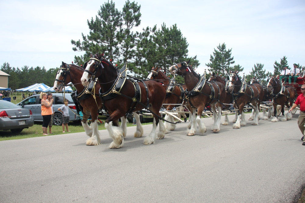 Hundreds attend Clydesdales visit to Fort McCoy; parade held at Pine View Campground