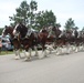 Hundreds attend Clydesdales visit to Fort McCoy; parade held at Pine View Campground