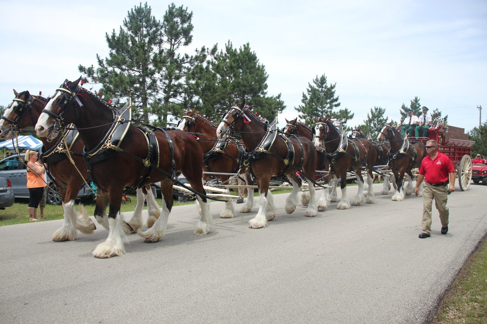 Hundreds attend Clydesdales visit to Fort McCoy; parade held at Pine View Campground