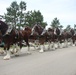 Hundreds attend Clydesdales visit to Fort McCoy; parade held at Pine View Campground