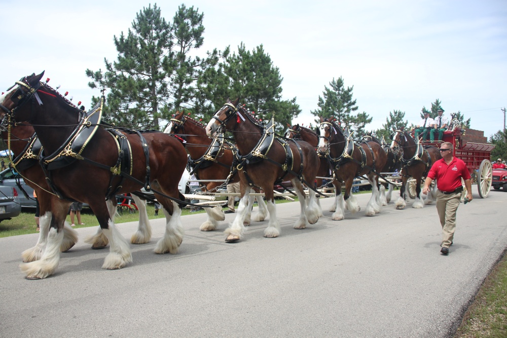 Hundreds attend Clydesdales visit to Fort McCoy; parade held at Pine View Campground