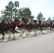 Hundreds attend Clydesdales visit to Fort McCoy; parade held at Pine View Campground
