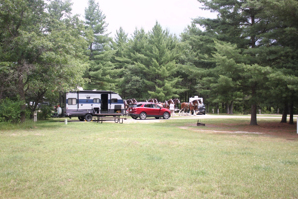 Hundreds attend Clydesdales visit to Fort McCoy; parade held at Pine View Campground