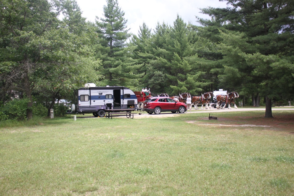 Hundreds attend Clydesdales visit to Fort McCoy; parade held at Pine View Campground