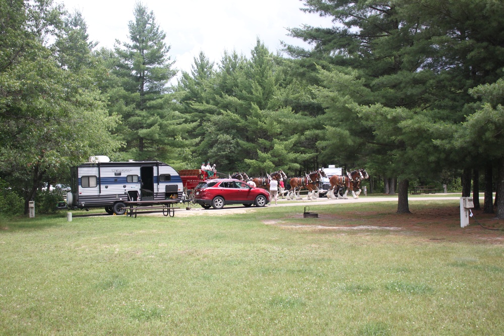 Hundreds attend Clydesdales visit to Fort McCoy; parade held at Pine View Campground