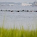 EOD Midshipmen Summer Cruise 2025