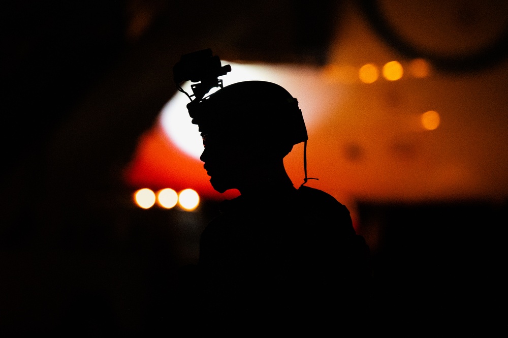 DoD support DHS during illegal alien arrival flight