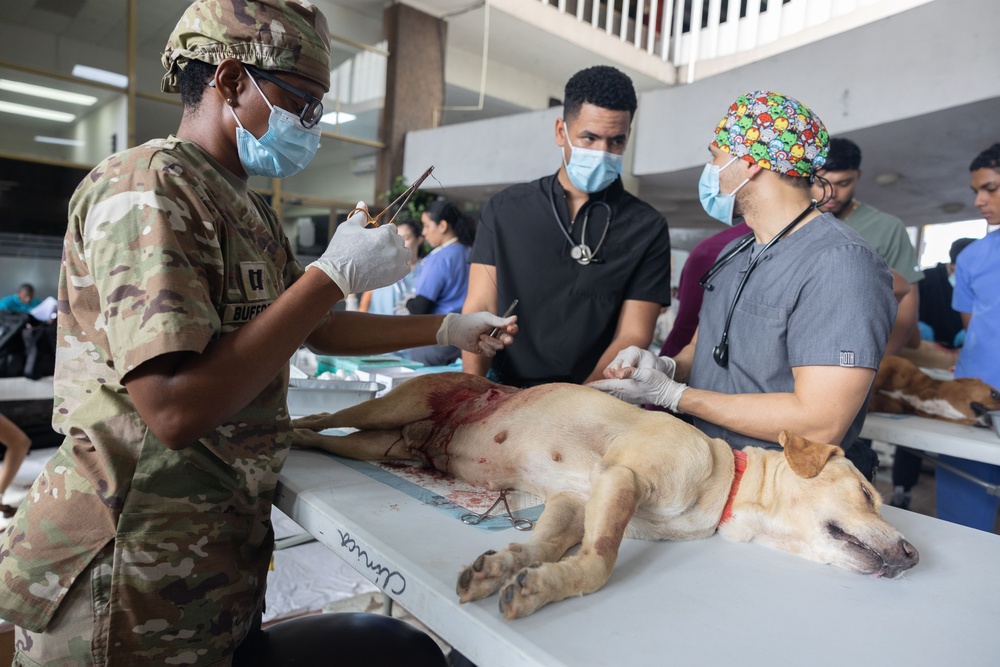 Veterinarian Clinic Panama Continuing Promise 2025