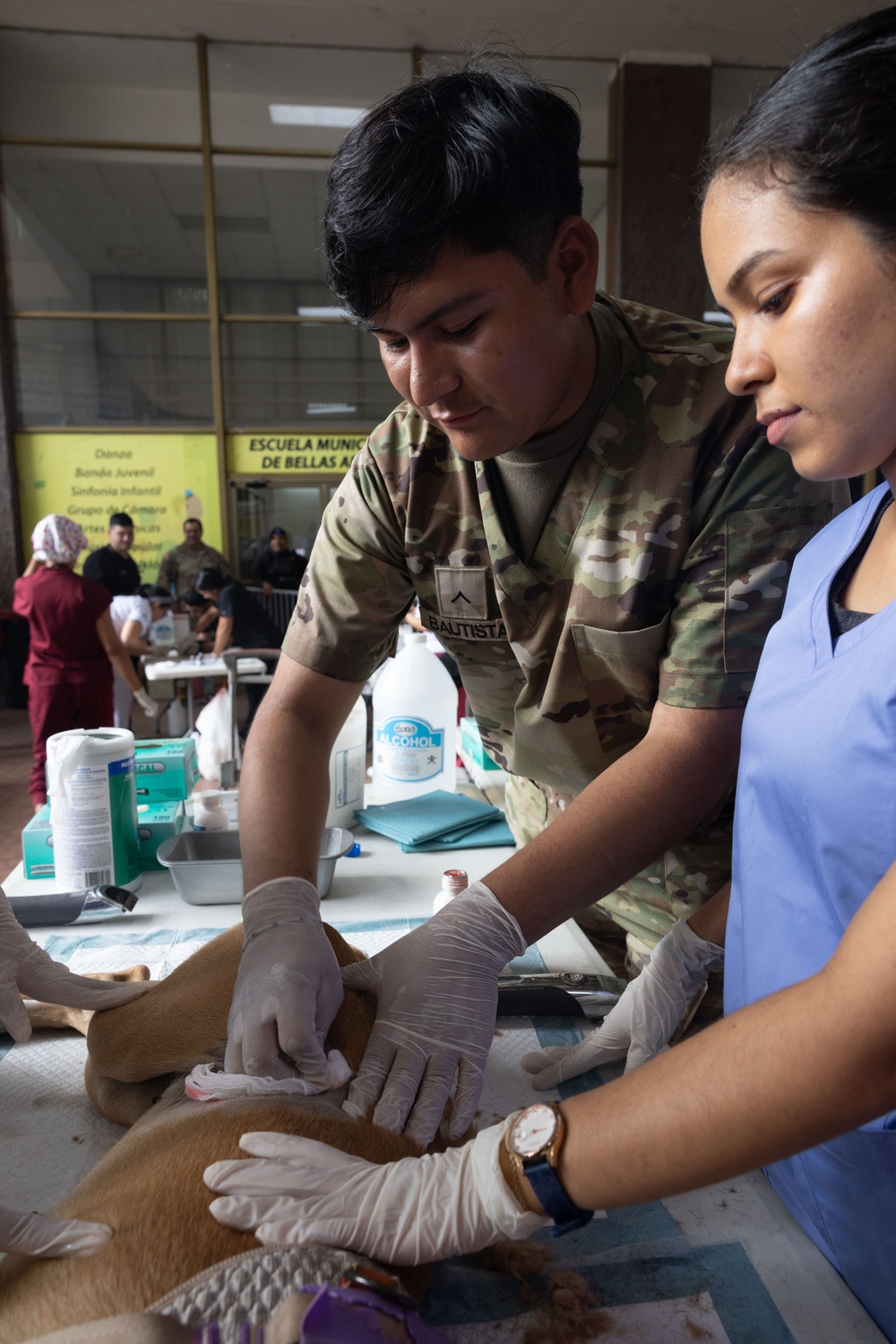 Veterinarian Clinic Panama Continuing Promise 2025
