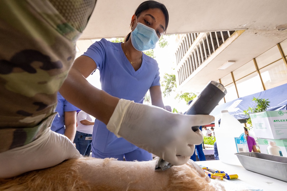 Veterinarian Clinic Panama Continuing Promise 2025