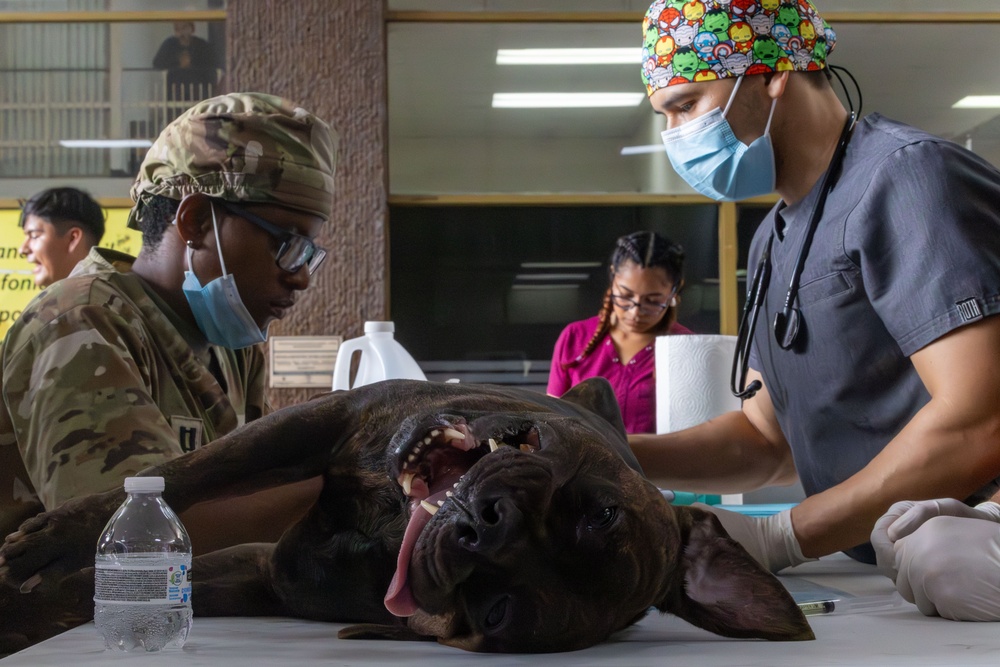 Veterinarian Clinic Panama Continuing Promise 2025