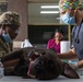 Veterinarian Clinic Panama Continuing Promise 2025