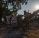 134th CES remove, replace concrete at Morón Air Base