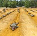 Infantry OSUT Obstacle Course