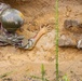 Infantry OSUT Obstacle Course