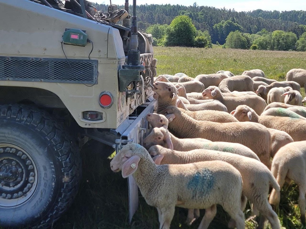 601st Engineers Complete Annual Training in Germany
