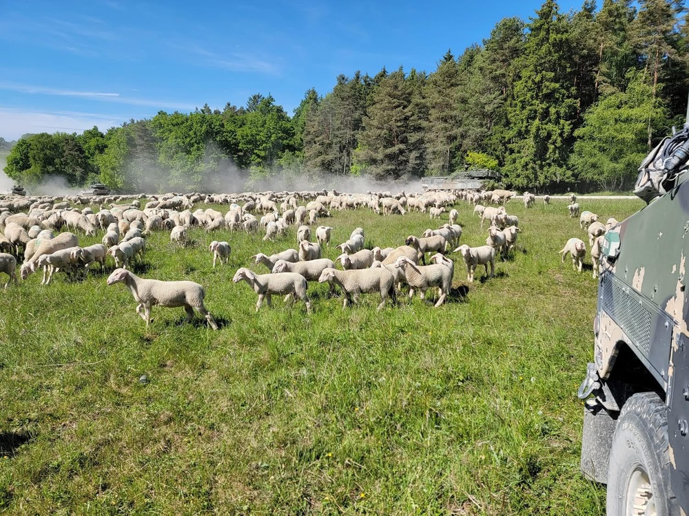 601st Engineers Complete Annual Training in Germany