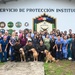 U.S. Navy veterinarians partner with Panama community to provide animal care support
